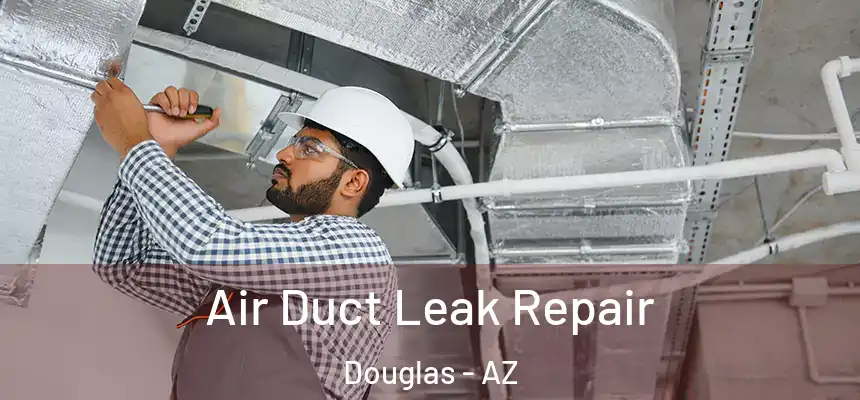  Air Duct Leak Repair Douglas - AZ