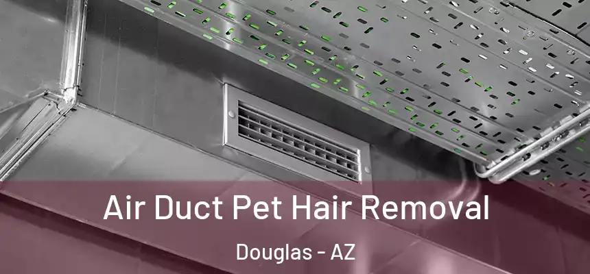  Air Duct Pet Hair Removal Douglas - AZ