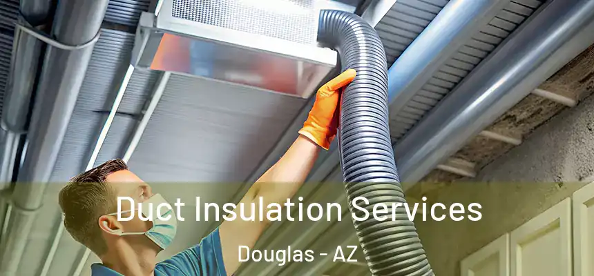  Duct Insulation Services Douglas - AZ