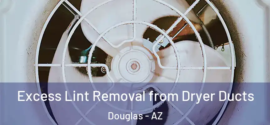  Excess Lint Removal from Dryer Ducts Douglas - AZ