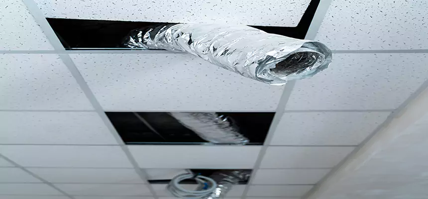 Affordable HVAC Sanitizing After Pest Removal in Douglas