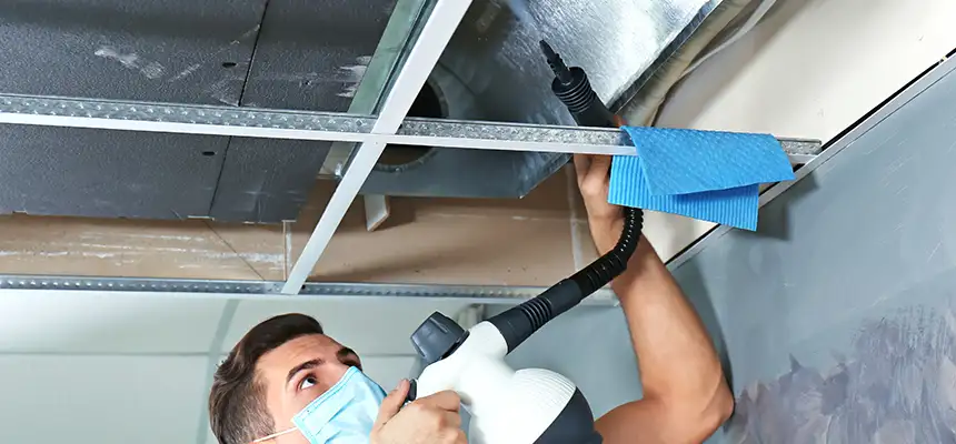 Our Air Duct Rodent Removal Services in Douglas, AZ