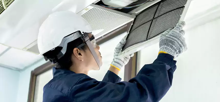 Our Mold & Mildew Removal from Air Ducts Services in Douglas, AZ