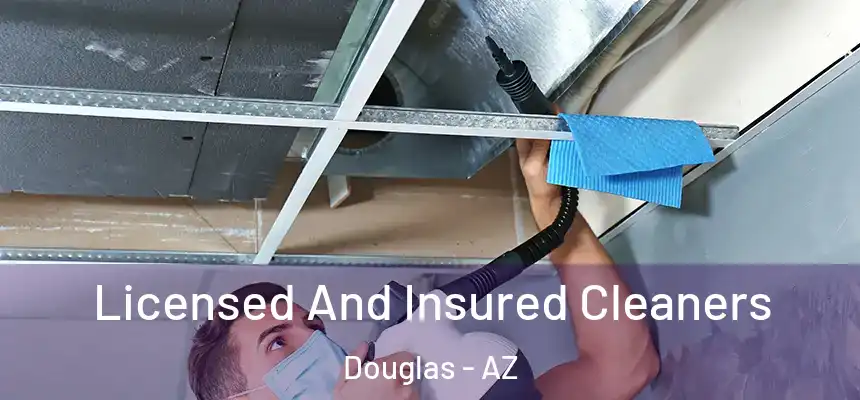  Licensed And Insured Cleaners Douglas - AZ