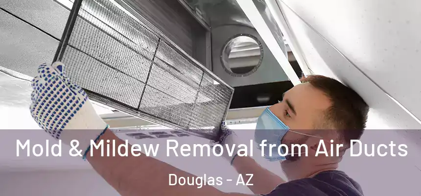  Mold & Mildew Removal from Air Ducts Douglas - AZ