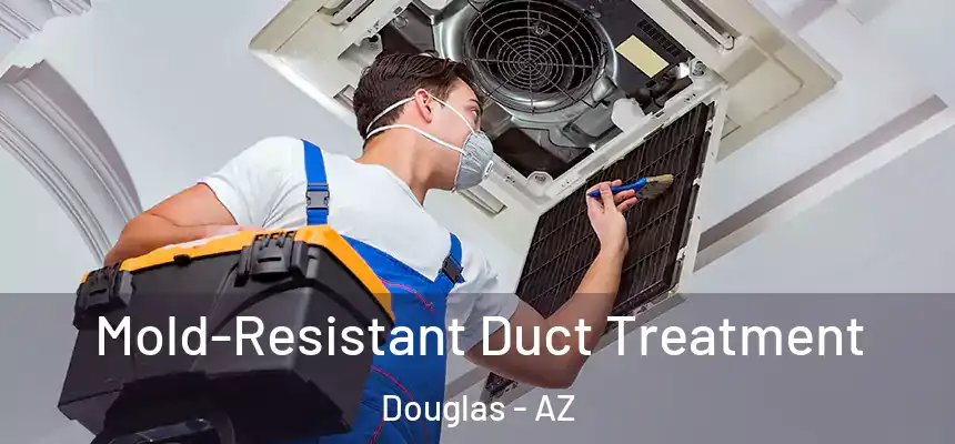  Mold-Resistant Duct Treatment Douglas - AZ