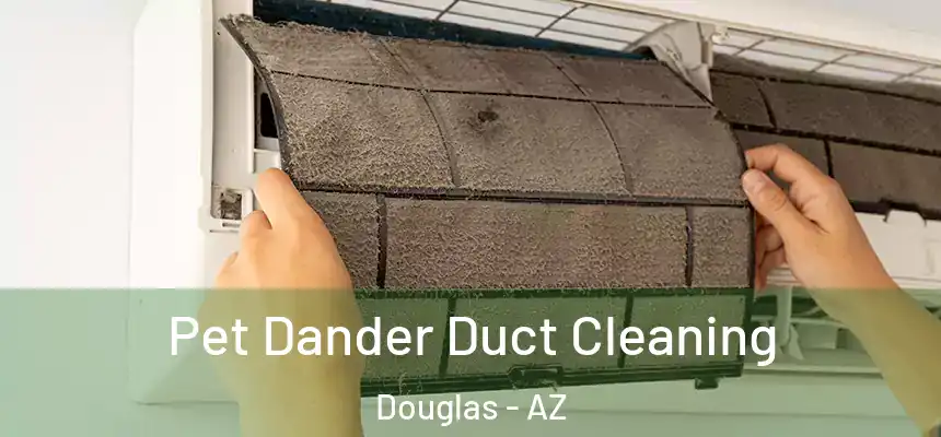  Pet Dander Duct Cleaning Douglas - AZ
