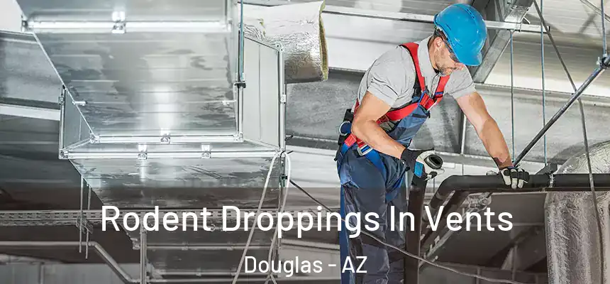  Rodent Droppings In Vents Douglas - AZ