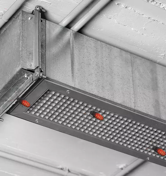 About Air Duct Cockroach Removal in Douglas, AZ