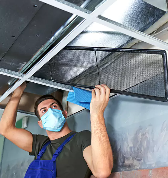 Professional Air Duct Pollen Cleaning in Douglas, AZ