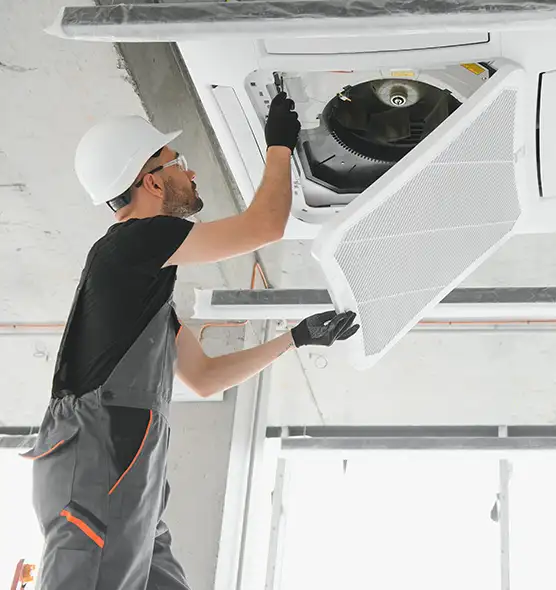 About Air Duct Rodent Removal in Douglas, AZ