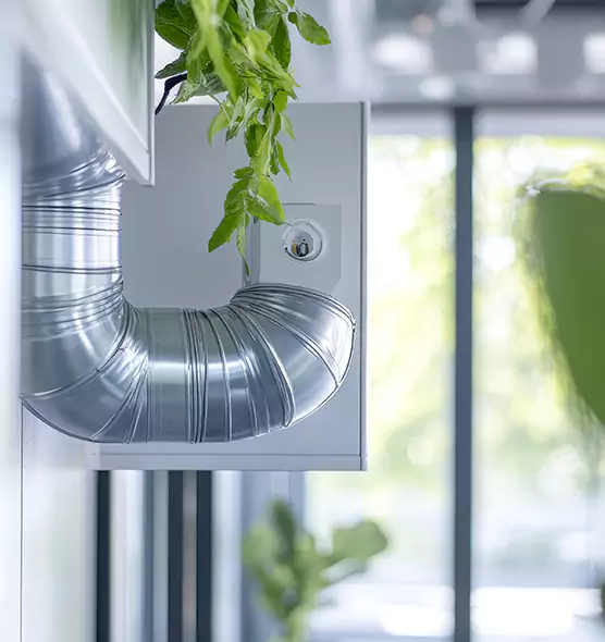 Professional Eco-Safe Dryer Vent Cleaning in Douglas, AZ