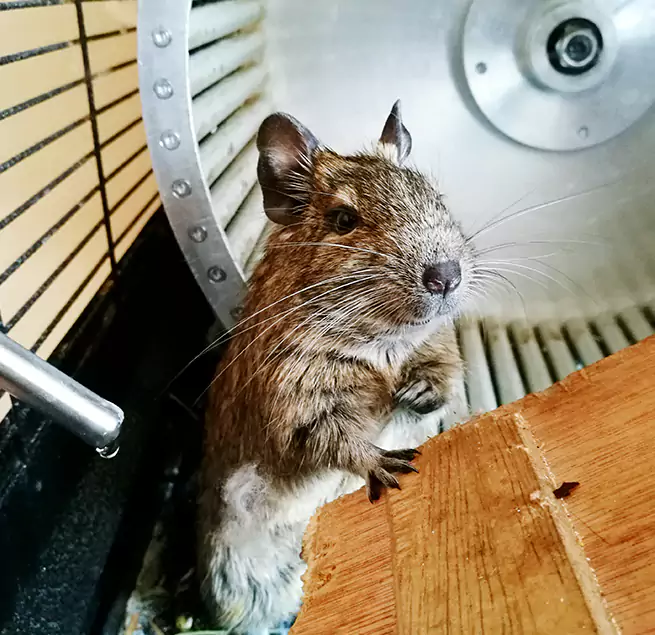 Why Homeowners & Businesses Trust Us Douglas, AZ?