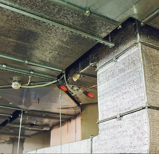 Why Homeowners & Businesses Trust Us Douglas, AZ?